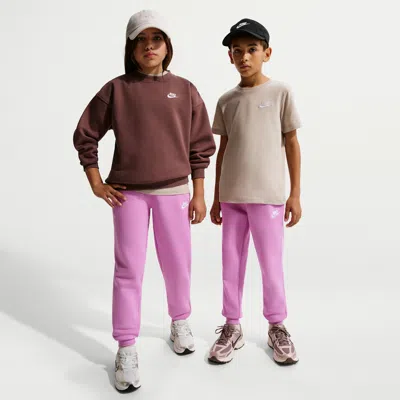 Nike Sportswear Club Fleece Big Kids' Jogger Pants In Gray