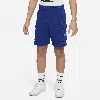 Nike Sportswear Standard Issue Big Kids' (boys') Fleece Shorts In Blue