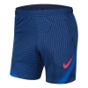 Nike Strike Training Shorts 'blue Red'