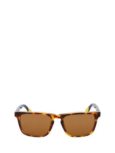 Nike Sunglasses In Brown
