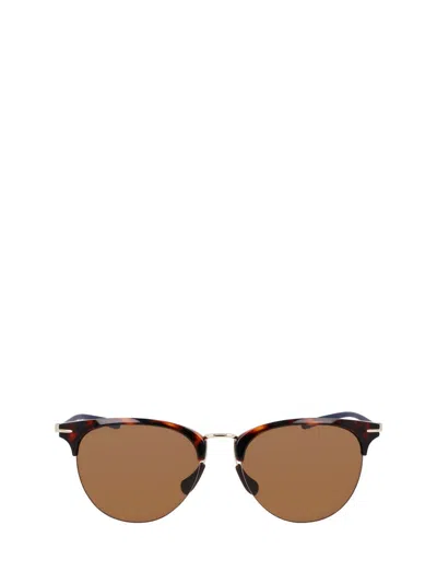 Nike Sunglasses In Tortoise / Polar Lite Brown