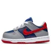 Nike Dunk Low "samba" Sneakers In Gray