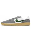Nike Team Classic Sb 'particle Grey Forest Green' In Gray