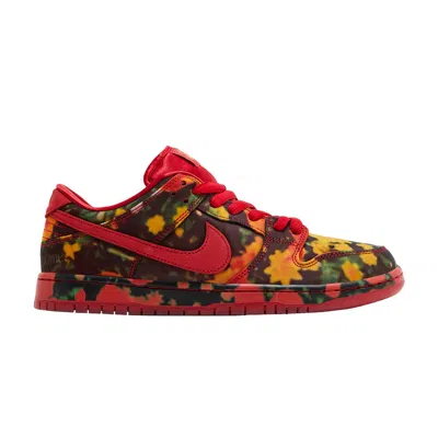 Pre-owned Nike The Wizard Of oz X Dunk Low Sb 'poppy Field' In Red