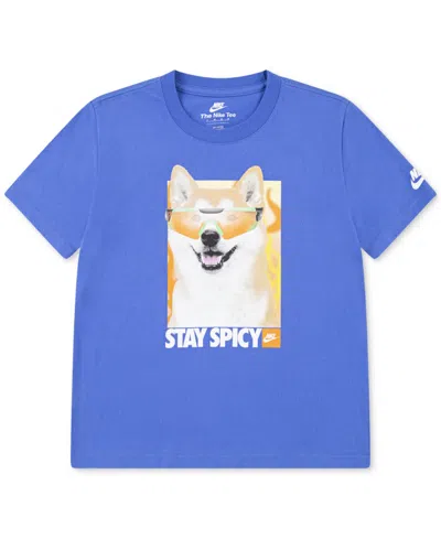 Nike Kids' Toddler & Little Boys Stay Spicy Graphic Short-sleeve T-shirt In Blue
