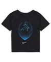 Nike Toddler Black Carolina Panthers Legend Icon Performance T-shirt In Black