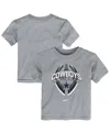 Nike Toddler Gray Dallas Cowboys Icon Legend T-shirt In Gray