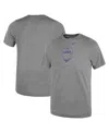 Nike Toddler Gray Lsu Tigers Legend Football Performance T-shirt In Gray