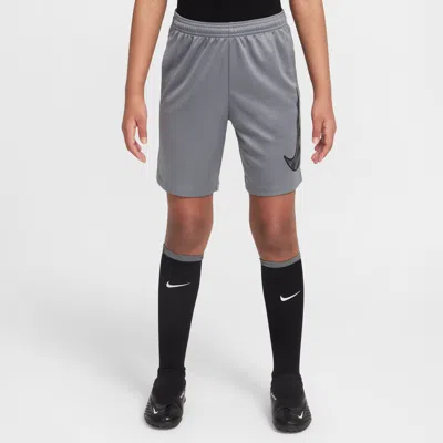 Nike Trophy23 Big Kids' Dri-fit Shorts In Gray