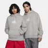 Nike Unisex  Sb Fleece Pullover Skate Hoodie In Grey