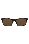 Nike Valient 60mm Square Sunglasses In Tortoise/dark Brown