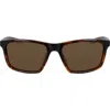 Nike Valient 60mm Square Sunglasses In Brown