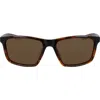 Nike Valient 60mm Square Sunglasses In Tortoise/dark Brown