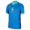 Nike Brazil 2024 Match Away  Men's Dri-fit Adv Soccer Authentic Jersey In Blue