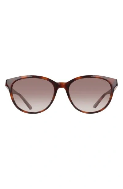 Nike Vital Trend 55mm Gradient Round Sunglasses In Brown