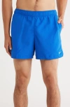 Nike Volley 5-inch Swim Trunks In Blue
