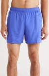 Nike Volley 5-inch Swim Trunks In Purple