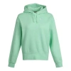 Nike (wmns) As W  Sportswear Hoodie Flc Trend Cucumber Calm In Green