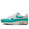 Nike (wmns)  Air Max 1 'dusty Cactus'