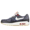 Nike (wmns)  Air Max 1 'liberty'