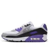 Nike Air Max 90 Sneaker In Blue