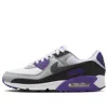 Nike (wmns)  Air Max 90 'neutral Grey Purple'