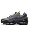 Nike (wmns)  Air Max 95 Se 'evolution Of Icons'