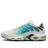 Nike Air Max Plus Sneaker In Multi