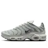 Nike Air Max Plus Sneaker In Gray