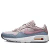 Nike (wmns)  Air Max Sc 'amethyst Ash' In Multi