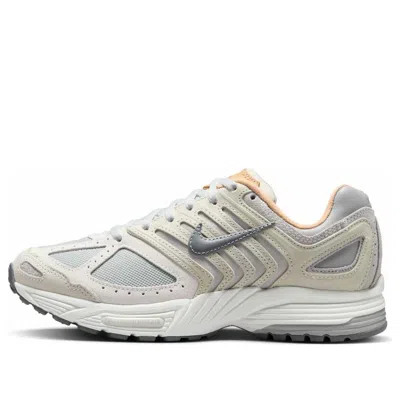 Nike (wmns)  Air Pegasus 2005 'light Smoke Grey Vachetta Tan'