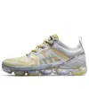 Nike (wmns)  Air Vapormax 2019 Premium 'celery'