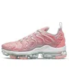 Nike (wmns)  Air Vapormax Plus 'bleached Coral'
