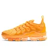 Nike (wmns)  Air Vapormax Plus 'orange'