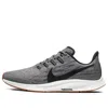 Nike (wmns)  Air Zoom Pegasus 36 'gunsmoke' In Multi