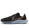 Nike (wmns)  Air Zoom Pegasus 38 'black Metallic Gold Coin' In Black