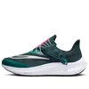 Nike (wmns)  Air Zoom Pegasus 39 Flyease 'deep Jungle Metallic Silver'