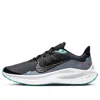Nike (wmns)  Air Zoom Winflo 7 Shield 'obisidian Mist'