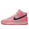 Nike (wmns)  Dunk High 'hoops Pack'