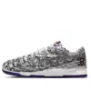 Nike (wmns)  Dunk Low 'flip The Old School'