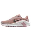 Nike Flex Train Training Shoe In Brown
