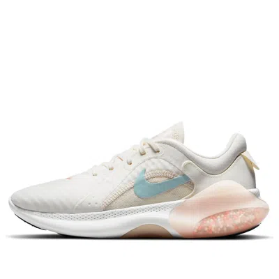 Nike (wmns)  Joyride Dual Run 2 'sail Crimson Tint'