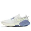 Nike (wmns)  Joyride Dual Run Blue/white