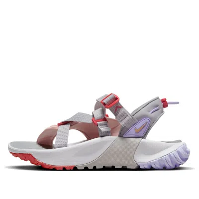 Nike (wmns)  Oneonata 'gray Purple' In Animal Print