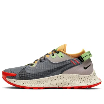 Nike (wmns)  Pegasus Trail 2 Gtx 'smoke Grey Bucktan' In Multi