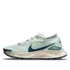 Nike (wmns)  Pegasus Trail 3 Gtx 'seafoam' In Green