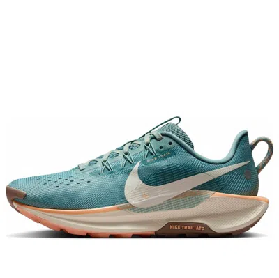 Nike (wmns)  Pegasus Trail 5 'cannon' In Multi