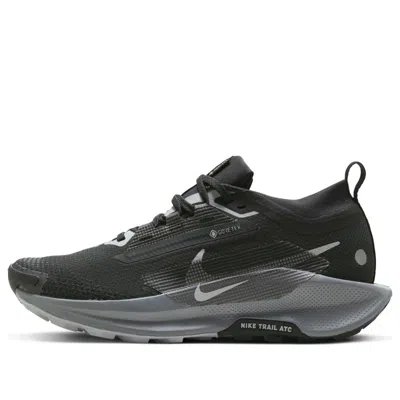 NIKE (WMNS) NIKE PEGASUS TRAIL 5 GORE-TEX 'BLACK WOLF GREY'
