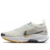 Nike Pegasus Trail 5 Gore-tex® Waterproof Running Shoe In Neutral