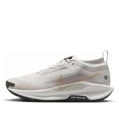 Nike (wmns)  Pegasus Trail 5 Gore-tex 'vast Grey'